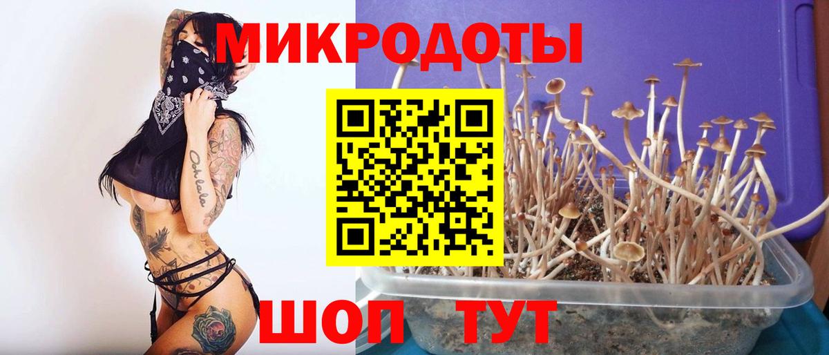 Галлюциногенные грибы Magic Shrooms Реутов